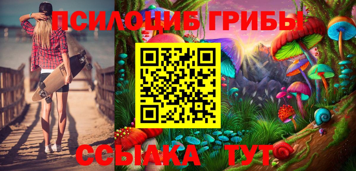 Псилоцибиновые грибы MAGIC MUSHROOMS  Вход с VPN  Новочеркасск 