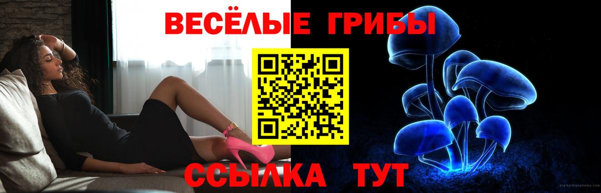 Галлюциногенные грибы Magic Shrooms Новочеркасск